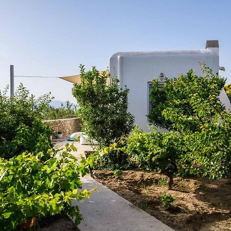 Live & Dream Villa Mykonos Town Buitenkant foto