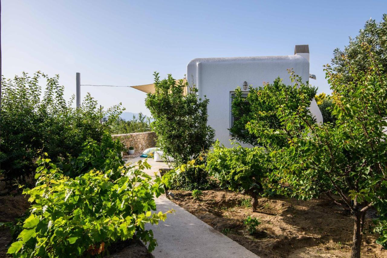 Live & Dream Villa Mykonos Town Buitenkant foto